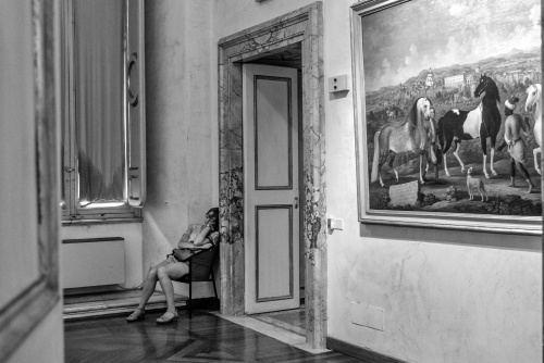 Museo Borghese, 2019