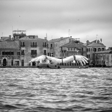 Biennale di Venezia - Un lunapark per intellettuali
