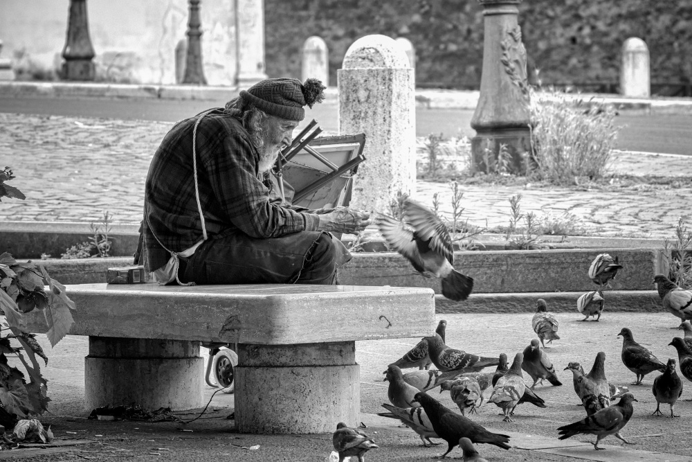 Feeding the birds, Rome, 2021