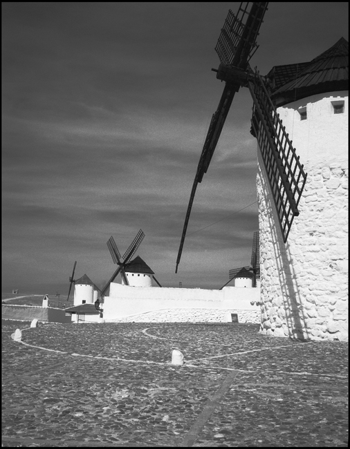 2012 Inseguendo Don Quijote De La Mancha 