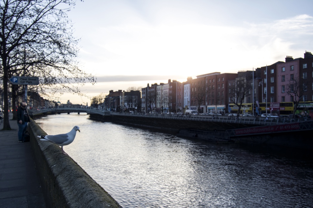 Glimpses of Dublin