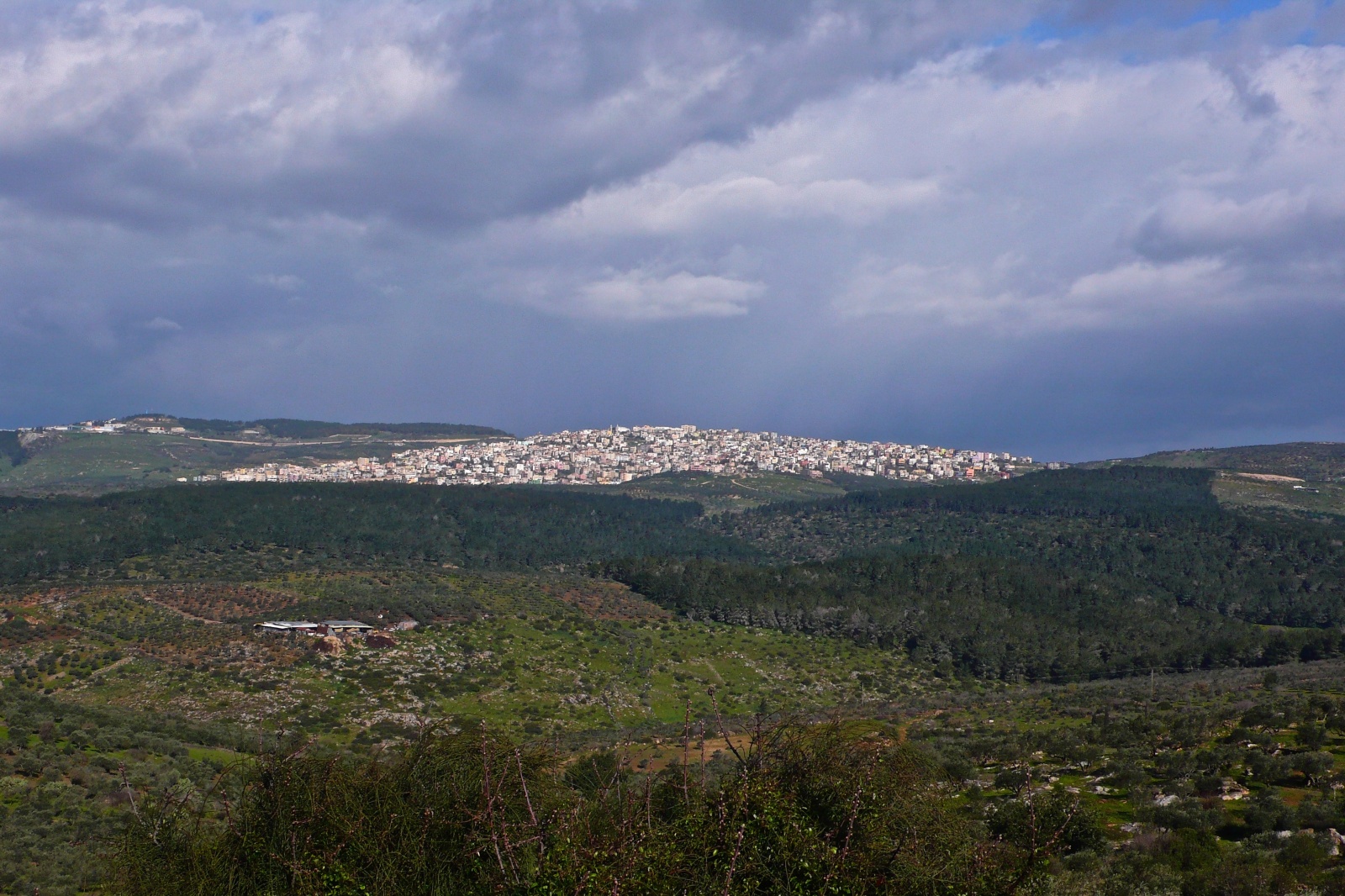 Israele - Dal monte Tabor